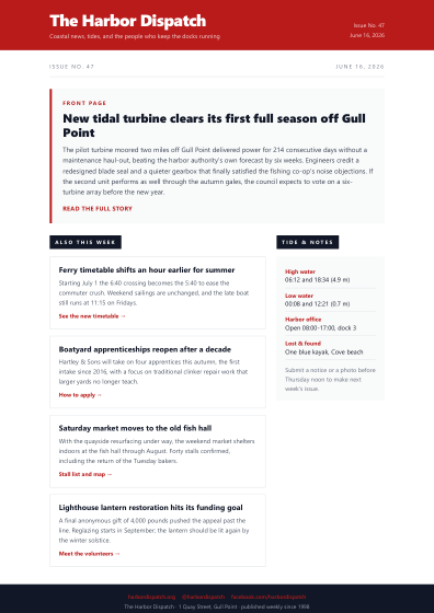 Newsletter (modern)